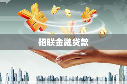 王益招联金融贷款