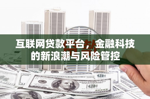 王益互联网贷款平台，金融科技的新浪潮与风险管控