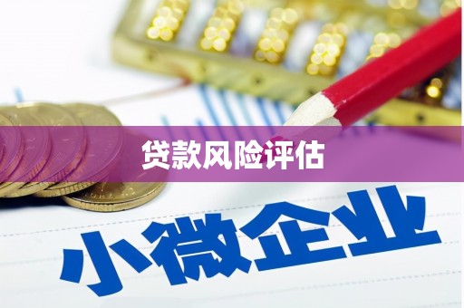 王益贷款风险评估