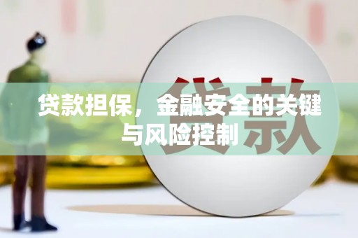 王益贷款担保，金融安全的关键与风险控制