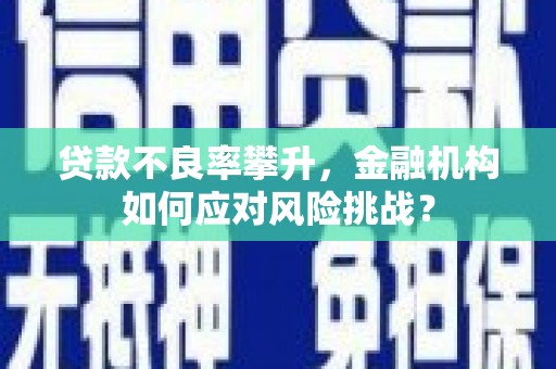 王益贷款不良率攀升，金融机构如何应对风险挑战？