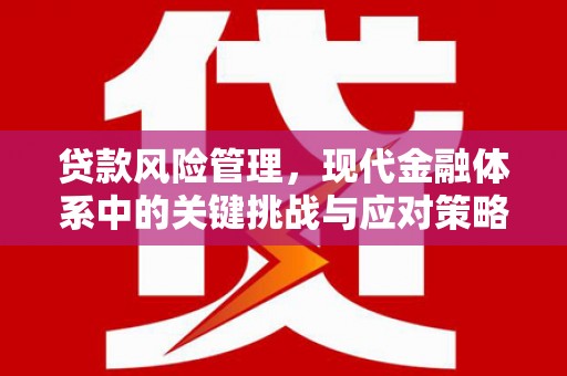 王益贷款风险管理，现代金融体系中的关键挑战与应对策略