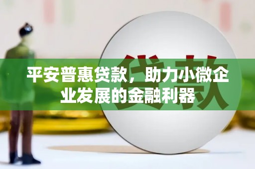 王益平安普惠贷款，助力小微企业发展的金融利器