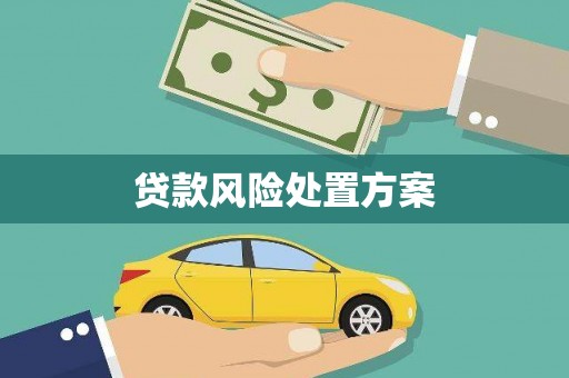 王益贷款风险处置方案