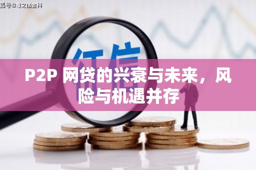 王益P2P 网贷的兴衰与未来，风险与机遇并存
