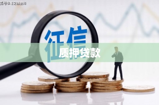 王益质押贷款