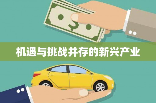 王益机遇与挑战并存的新兴产业