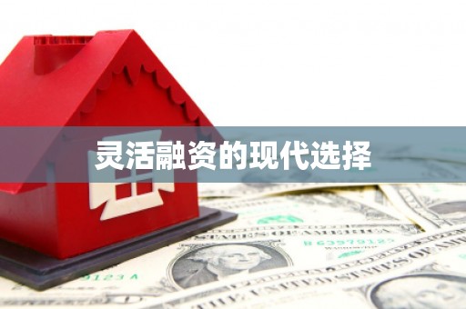 王益灵活融资的现代选择