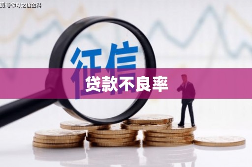 王益贷款不良率