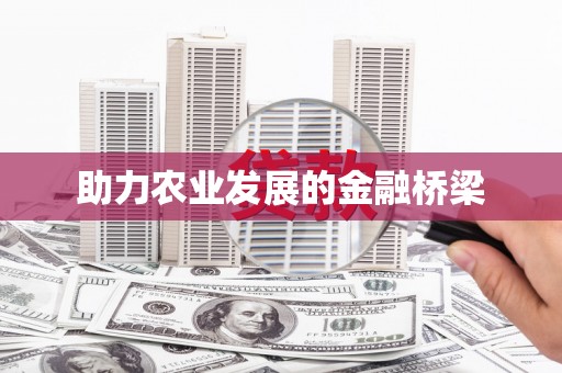 王益助力农业发展的金融桥梁