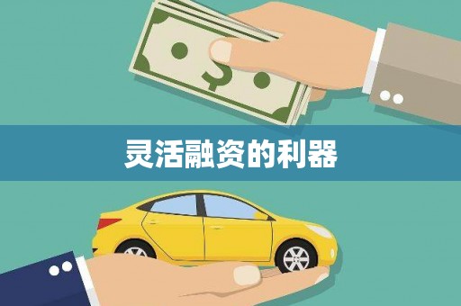 王益灵活融资的利器