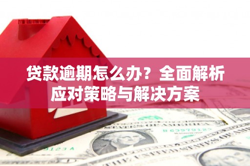 王益贷款逾期怎么办？全面解析应对策略与解决方案