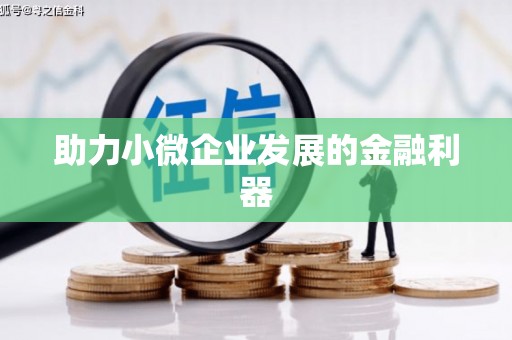 王益助力小微企业发展的金融利器