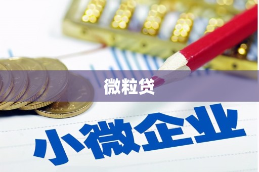 王益微粒贷