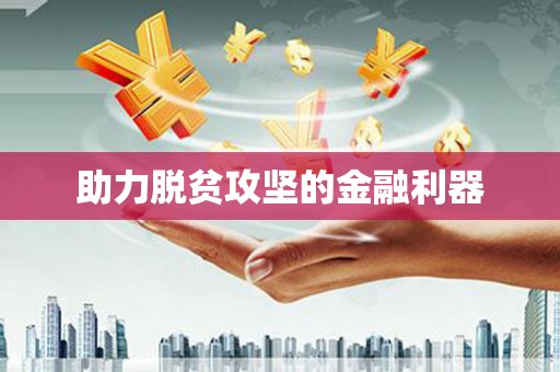 王益助力脱贫攻坚的金融利器