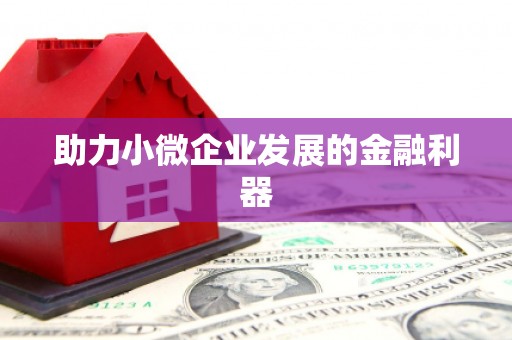 王益助力小微企业发展的金融利器