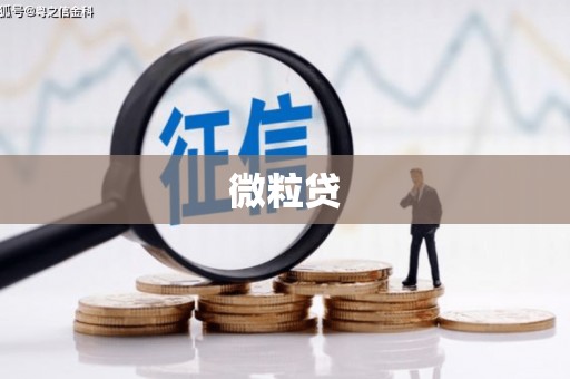王益微粒贷