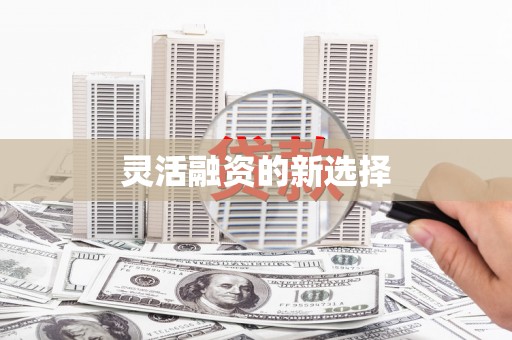 王益灵活融资的新选择