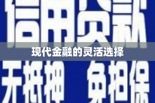 王益现代金融的灵活选择