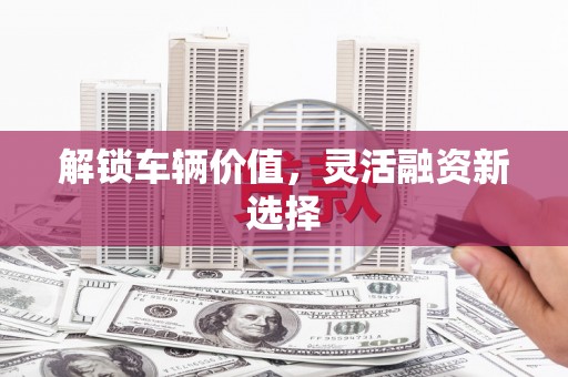 王益解锁车辆价值，灵活融资新选择