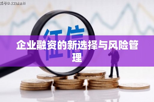 王益企业融资的新选择与风险管理