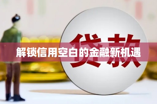 王益解锁信用空白的金融新机遇