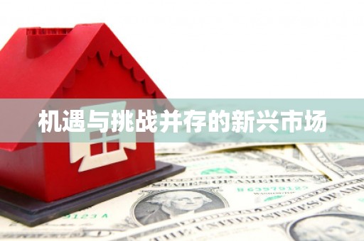 王益机遇与挑战并存的新兴市场