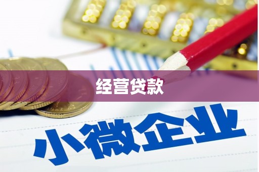 王益经营贷款