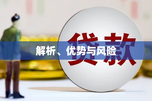 王益解析、优势与风险