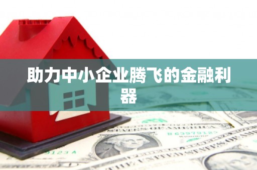 王益助力中小企业腾飞的金融利器
