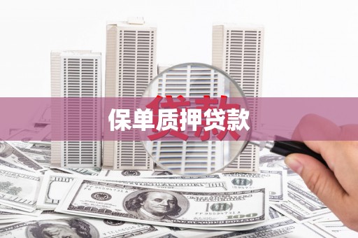 王益保单质押贷款