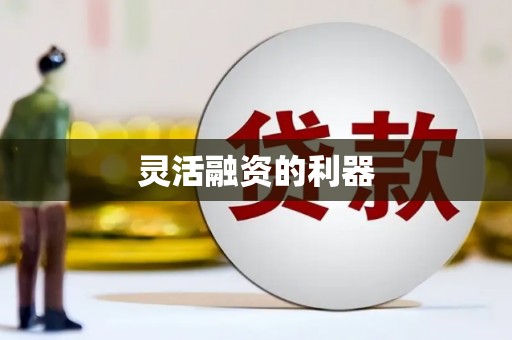 王益灵活融资的利器