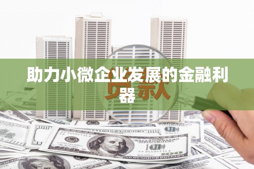 王益助力小微企业发展的金融利器