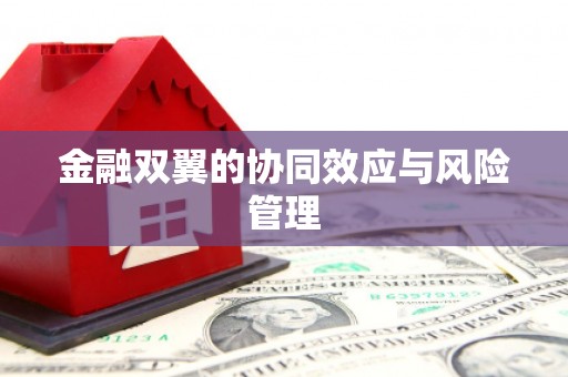 王益金融双翼的协同效应与风险管理
