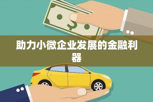 王益助力小微企业发展的金融利器