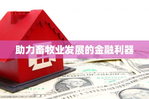 王益助力畜牧业发展的金融利器