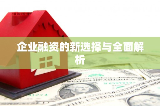 王益企业融资的新选择与全面解析