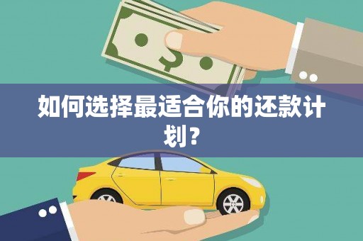 王益如何选择最适合你的还款计划？