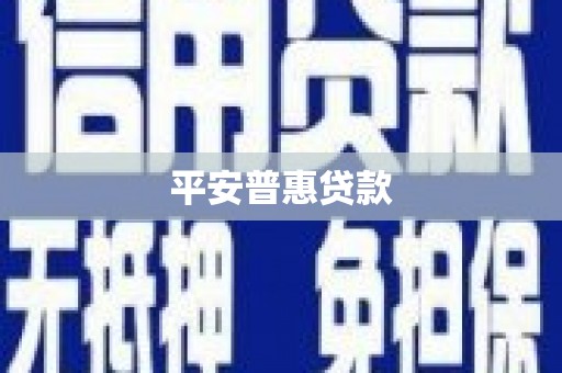 王益平安普惠贷款