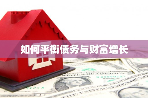 王益如何平衡债务与财富增长