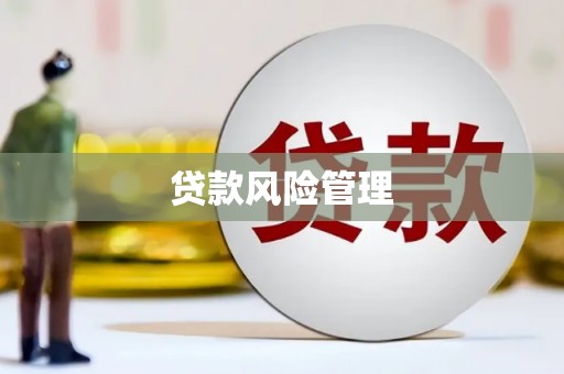 王益贷款风险管理