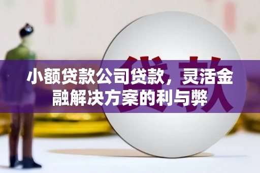 王益小额贷款公司贷款，灵活金融解决方案的利与弊