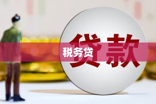 王益税务贷