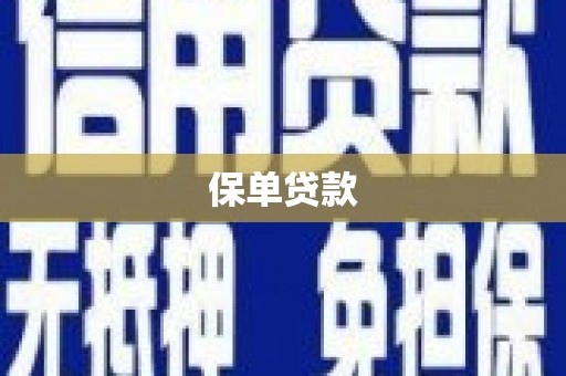 王益保单贷款